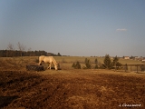 Le paysage du Haut du Tot